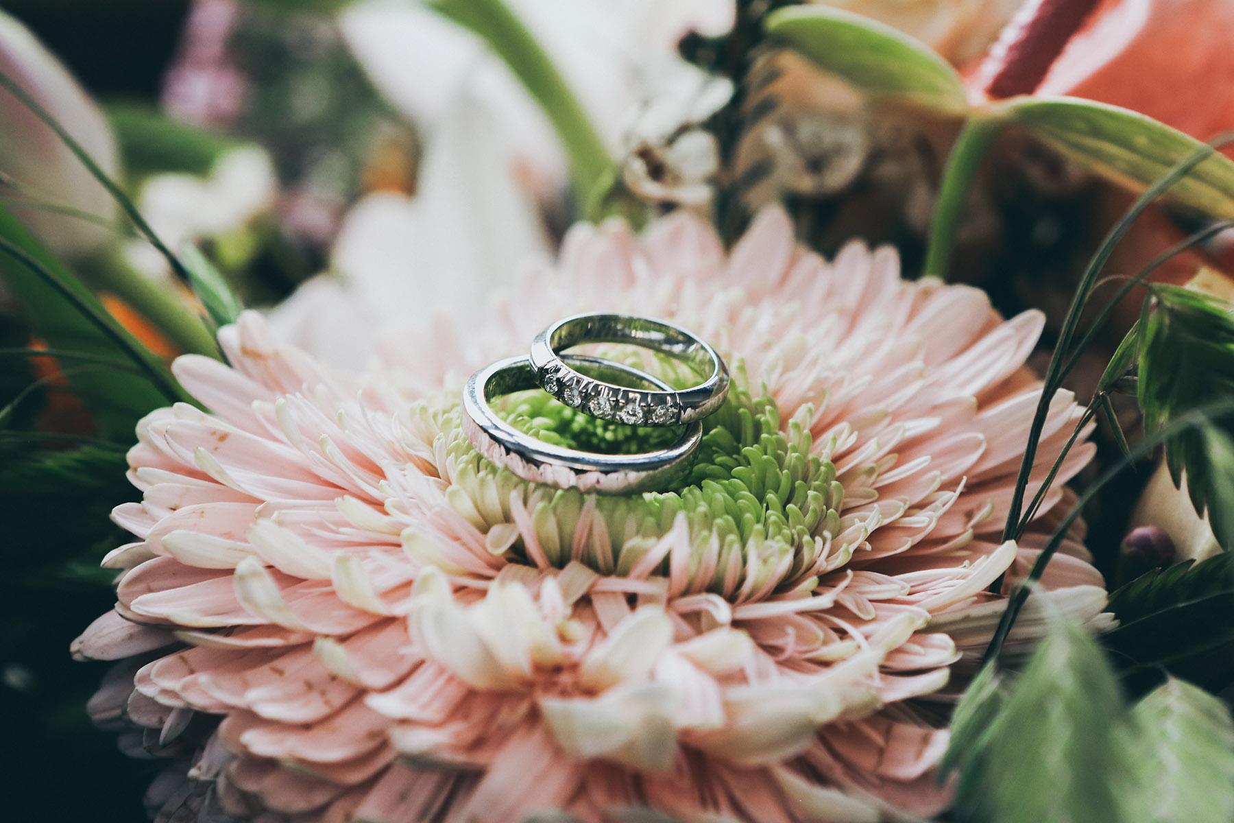 Wedding rings on top of a flower